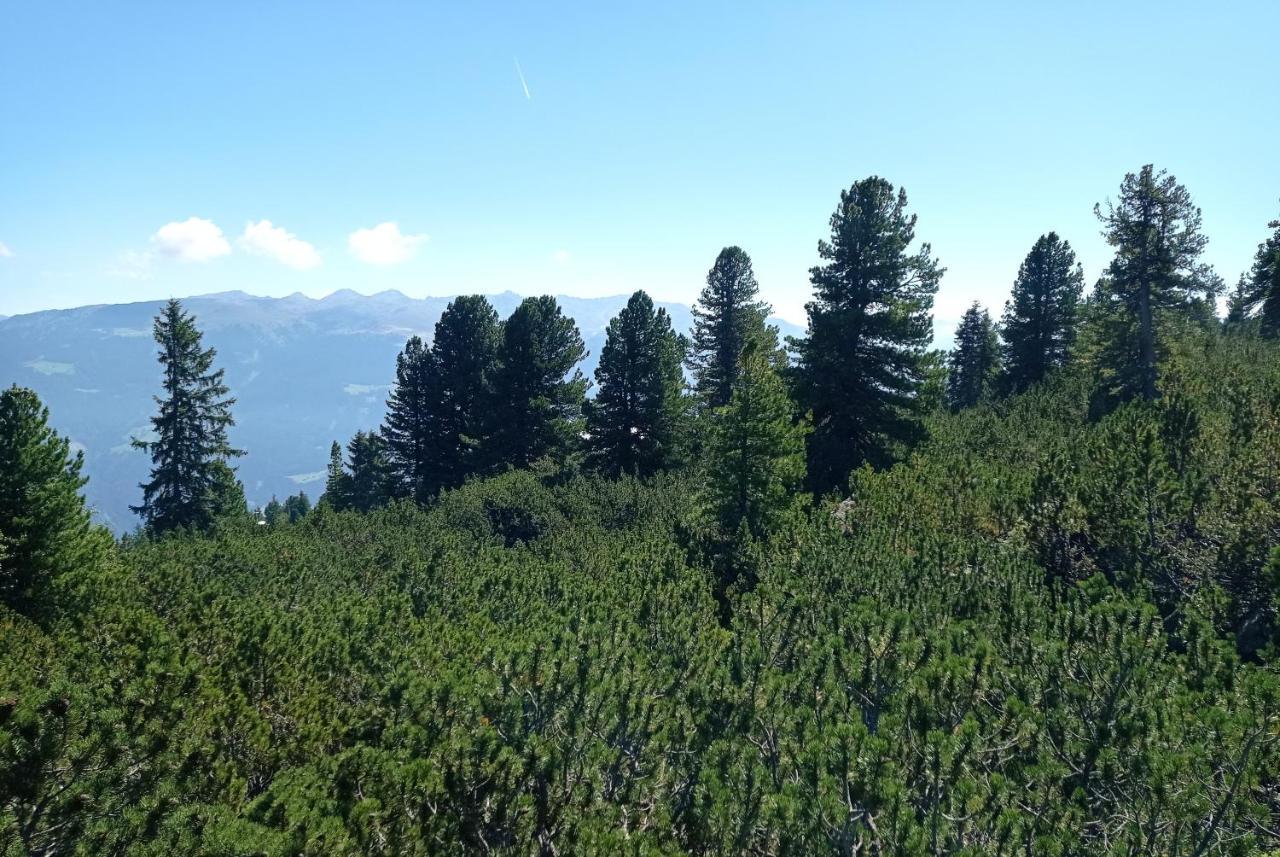 Apart Anna Mayrhofen Kültér fotó