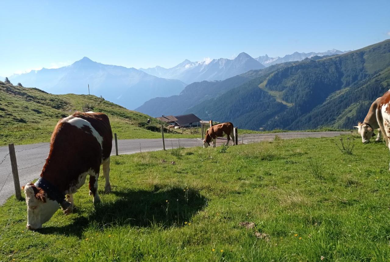 Apart Anna Mayrhofen Kültér fotó